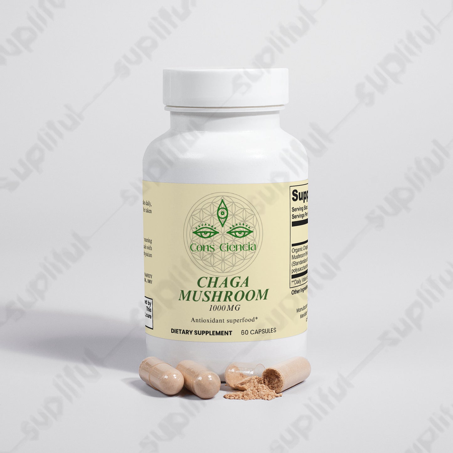 Chaga Mushroom